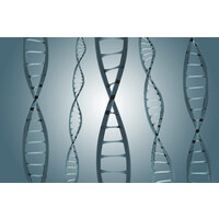 Learning Is Life & Life Is Learning logo - Similar company to Educaition - Ayudamos A Optimizar Y Escalar Empresas Usando Inteligencia Artificial