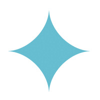 VentureSpark logo - Similar company to Netinet