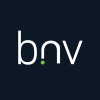 BNV Capital logo - Similar company to Nextofton