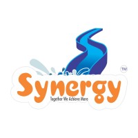 SYNERGY WATERPARK RIDES PRIVATE LIMITED logo - Similar company to Sk Construction