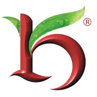 KESAR LANDS logo - Similar company to Streamfact Solutions - Web Design Development Company Nagpur