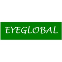 EYEGLOBAL SOLUTIONS PVT. LTD. logo - Similar company to Iglobal Solutions