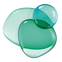 Verallia Brasil logo - Similar company to Vidrala