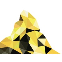 DualNetworks SA logo - Similar company to Jci Neuchâtel