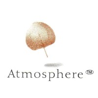 Atmosphere Airconditioning & Engineering Pte Ltd