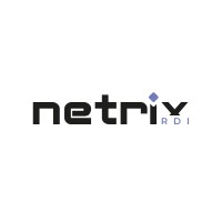 Netrix RDI logo - Similar company to Netrix It