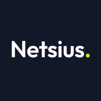 Netsius - Webflow & Automation Experts logo - Similar company to Albin Mur & Puts Ab