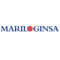 Logística Marítima Integral logo - Similar company to 4Pl Inteligencia Logística