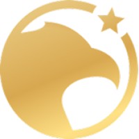Falcon Star Connect logo - Similar company to Mentoring Project Office (Mpo)