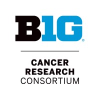 Big Ten Cancer Research Consortium logo - Similar company to University Of Illinois Chicago Department Of Medicine
