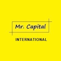 Mr. Capital®- International logo - Similar company to Mr. Capital®