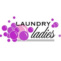 Laundry Ladies Inc. logo - Similar company to Spinxpress Laundry