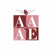 American Association of Airport Executives Sooner Chapter logo - Similar company to Mckinney National Airport (Tki)