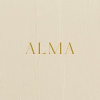 Agencia Alma logo - Similar company to Hafren Real Estate