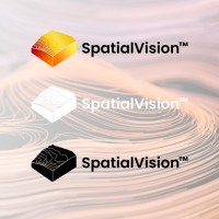 SpatialVisionLLC logo - Similar company to Construction Disruption Podcast