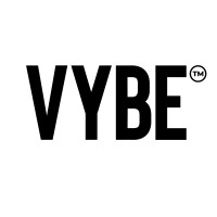 VYBE™ logo - Similar company to Autoplenum Gmbh