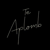 Te Aplomb logo - Similar company to Bell Lap, Llc