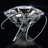 Winter Fine Jewelry logo - Similar company to Desiregem