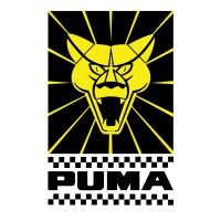 Puma Automóveis logo - Similar company to Cab Motors