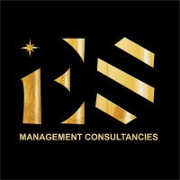 Elite Star Management Consultancies- ESMC logo - Similar company to Adzarena Digital Pte Ltd