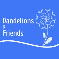 Dandelions & Friends
