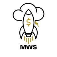 Millionaire Web Services logo - Similar company to Proper Villains, Llc