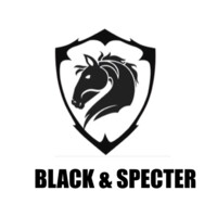 Black & Specter logo - Similar company to Nwu - Trade And Development (Trade)