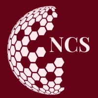 NexCell Solutions logo - Similar company to Techselect