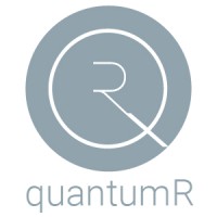 quantumr logo - Similar company to Ragnarson