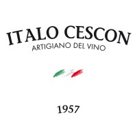 Italo Cescon logo - Similar company to Same Sky
