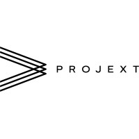 Projext & Co logo - Similar company to Punave
