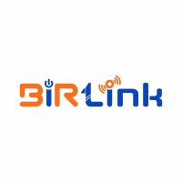 Birlink logo - Similar company to Enginet