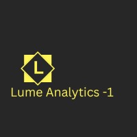 Lume Analytics -1 logo - Similar company to Surveywave Solutions