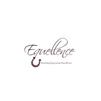 Equellence logo - Similar company to Jasco Electricals Trading Llc
