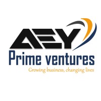 A E Y Prime Ventures logo - Similar company to A E Y Auditing Of Accounts