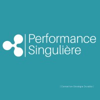 Performance Singulière logo - Similar company to Vtm Conseil