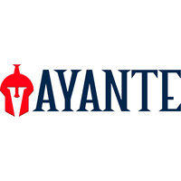 Ayante SA de CV logo - Similar company to Virtual Scale