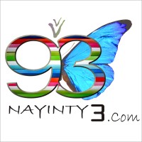 NAYINTY3 logo - Similar company to Nestech Developers