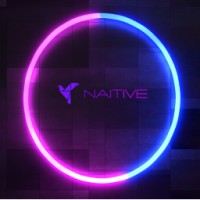 NAITIVE logo - Similar company to Apacesolutions