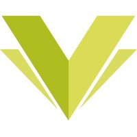 Visual Europe Group Polska logo - Similar company to Wallin