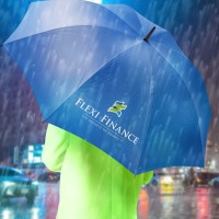 Flexi Finance Asia, Inc. logo - Similar company to Flexi Fincorp