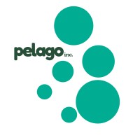 Pelago Inc. logo - Similar company to Mozconcept Design Agency