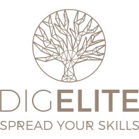 DigElite Digital Agentur logo - Similar company to B2B Design