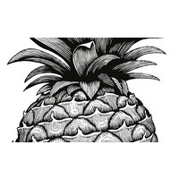 Pineapple logo - Similar company to Whitney Robinson International