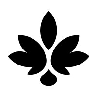 Salve logo - Similar company to Solvent