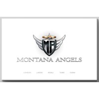 MONTANA ANGELS LIMITED logo - Similar company to Procbridge Pvt Ltd