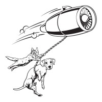 Flying Hope Animal Rescue Inc. logo - Similar company to Deathrow Unchained Animal Rescue