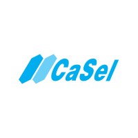 Casel logo - Similar company to Biancha Df