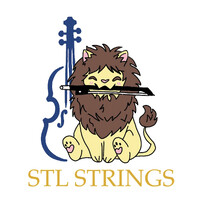 STL Strings logo - Similar company to The Net Effect Contractor Advisors Inc.