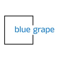 Blue Grape logo - Similar company to Vits Solutions